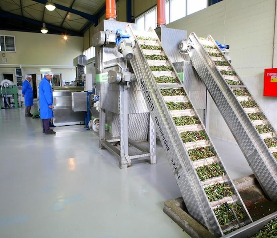 workers in unit production of olive oil at vassilakis estate